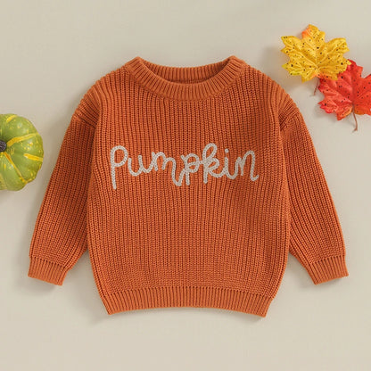 Cozy Baby/Toddler Autumn Knit Sweater 3M-36M